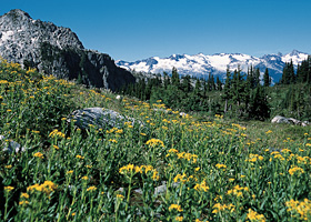 Coast Mountains